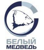 Белый медведь, Электромонтажная компания