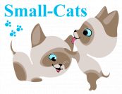 Small Cats, Питомник кошек породы скиф-той-боб