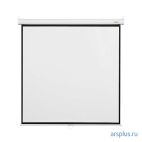 Экран настенный Digis Optimal-B 210*280 см. (4:3) (Matte White) [ DSOB-4306 ] Digis Optimal-B