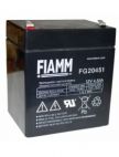 Аккумулятор FIAMM FG20451
