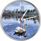 Часы настенные Часы стеклянные  Markus Merk  С1-10