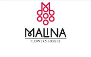 Malina Flowers House (Малина дом цветов)